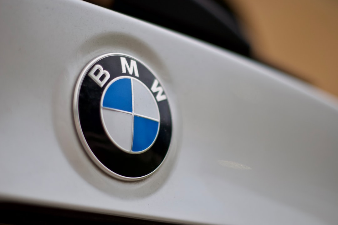 silver and black bmw emblem